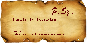 Pusch Szilveszter névjegykártya